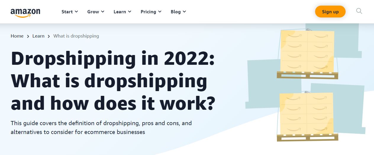 Amazon dropshipping giude page