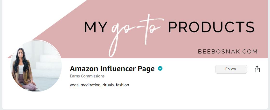 Example of Amazon influencer store